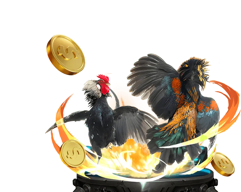 Các loại kèo cược đá gà trên giao diện 92lottery